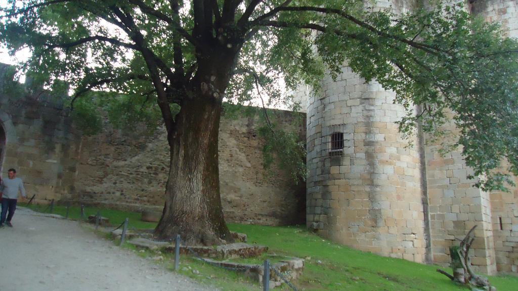Casas Rurales El Caminante Aldeanueva del Camino Zewnętrze zdjęcie